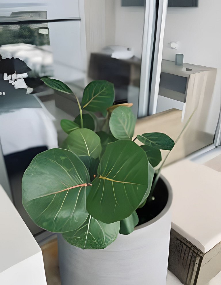 Apartamento / Suite Cartagena