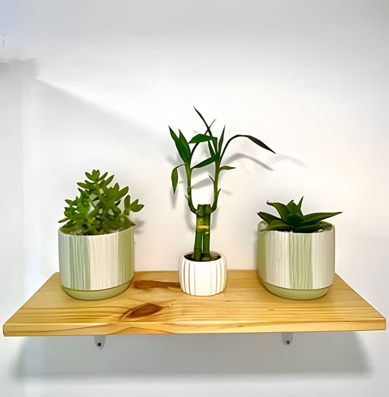Apartamento / Suite Cartagena